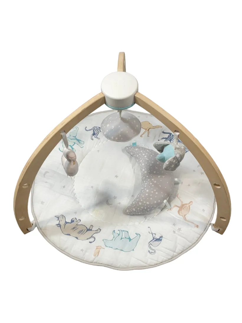 Aden   Anais Play   Discover Baby Activity Gym, Rising Star