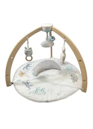 Aden   Anais Play   Discover Baby Activity Gym, Rising Star