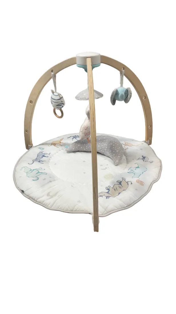 Aden   Anais Play   Discover Baby Activity Gym, Rising Star