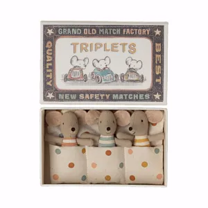 Baby Mice Triplets in Matchbox