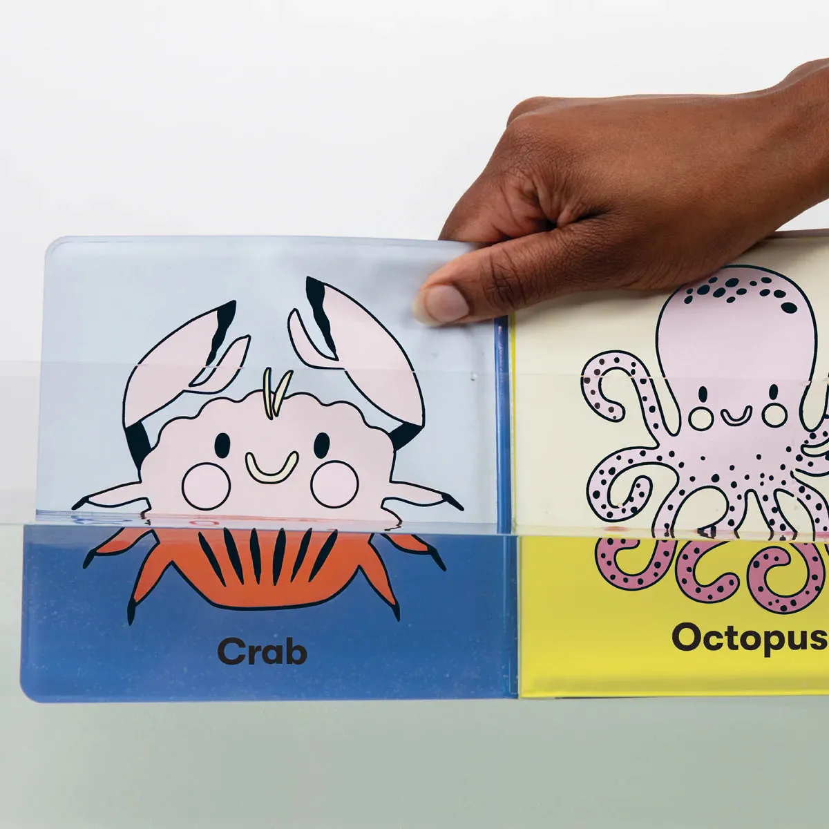 Bath Book - Marine Life On The Move