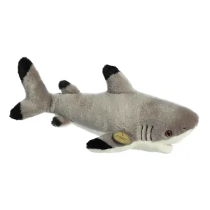 Blacktip Shark