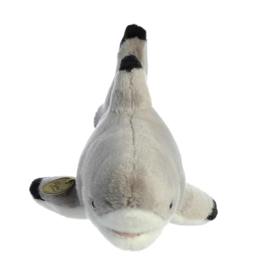 Blacktip Shark