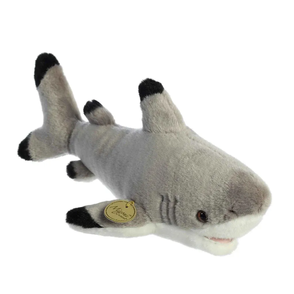 Blacktip Shark