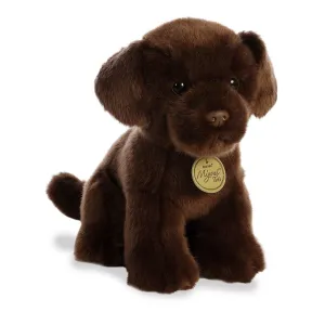 Chocolate Lab Pup