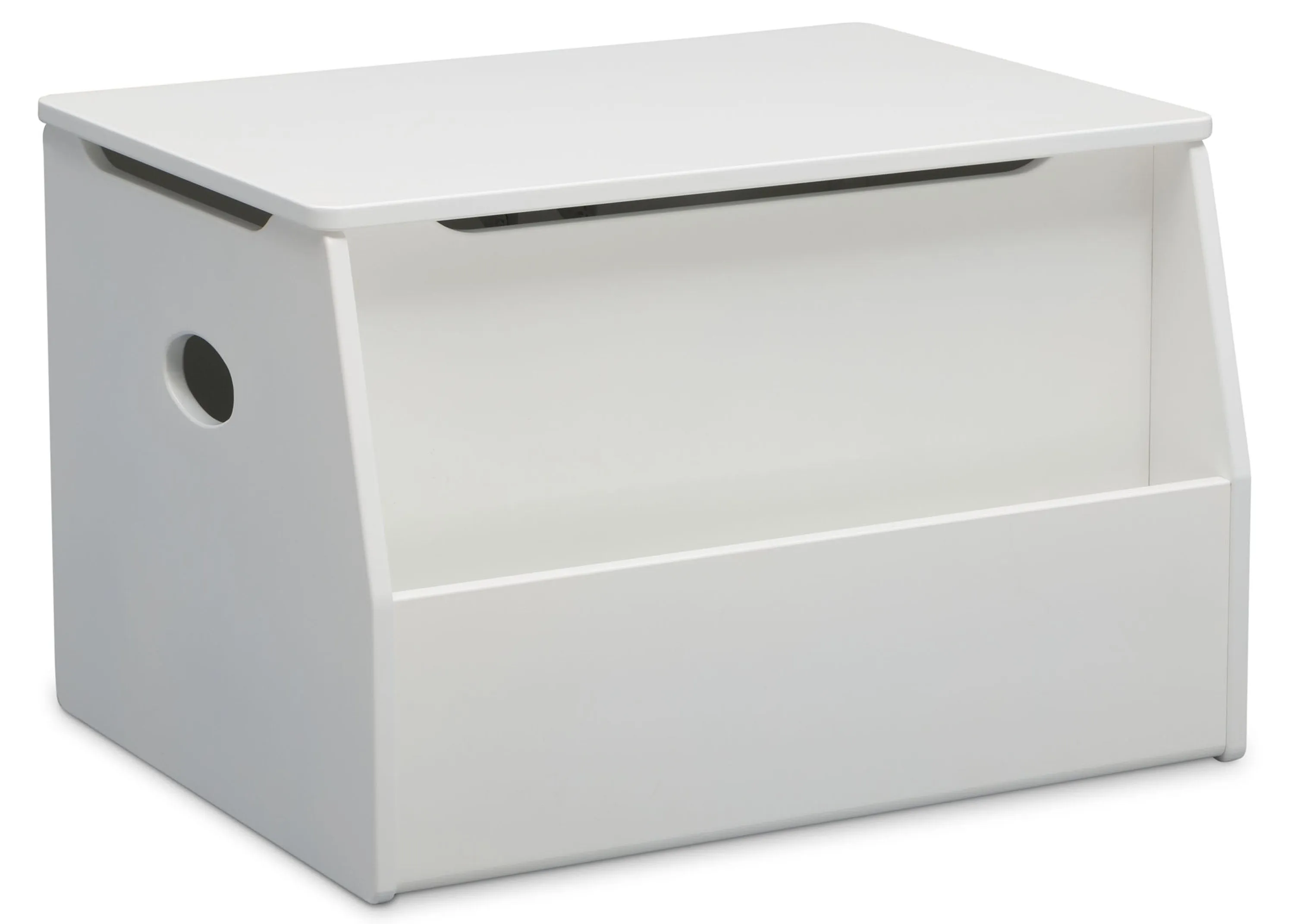 Classic Toy Box with Book Storage