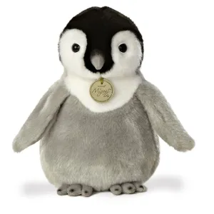 Emperor Penguin Chick