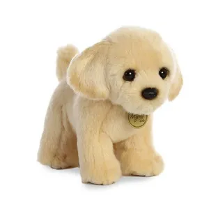 Golden Lab Pup