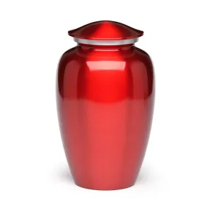 IMPERFECT SELECTION - ADULT Classic Alloy urn - Color Perfection Silver-tone band - High-gloss