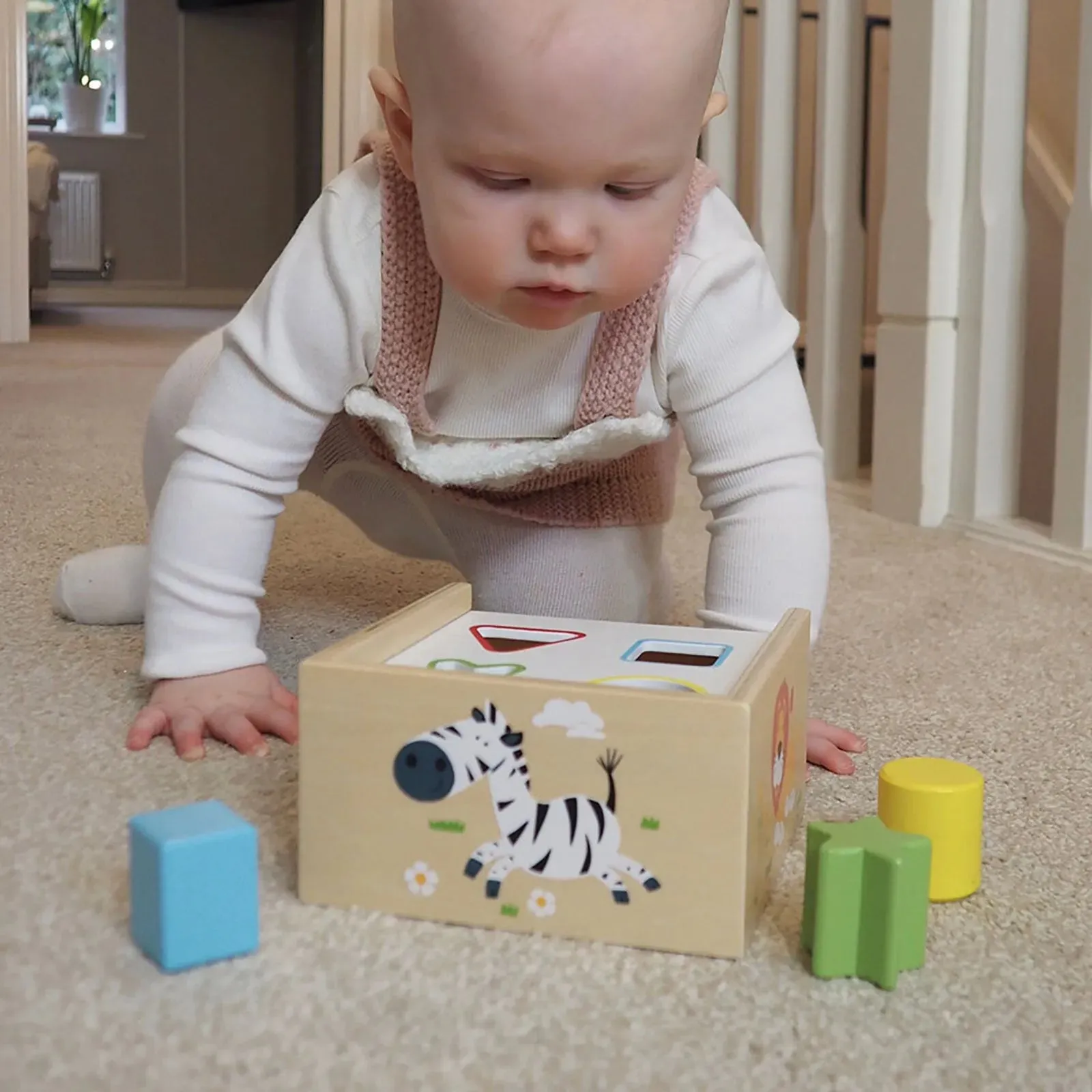 Jumini Shape Sorter Box