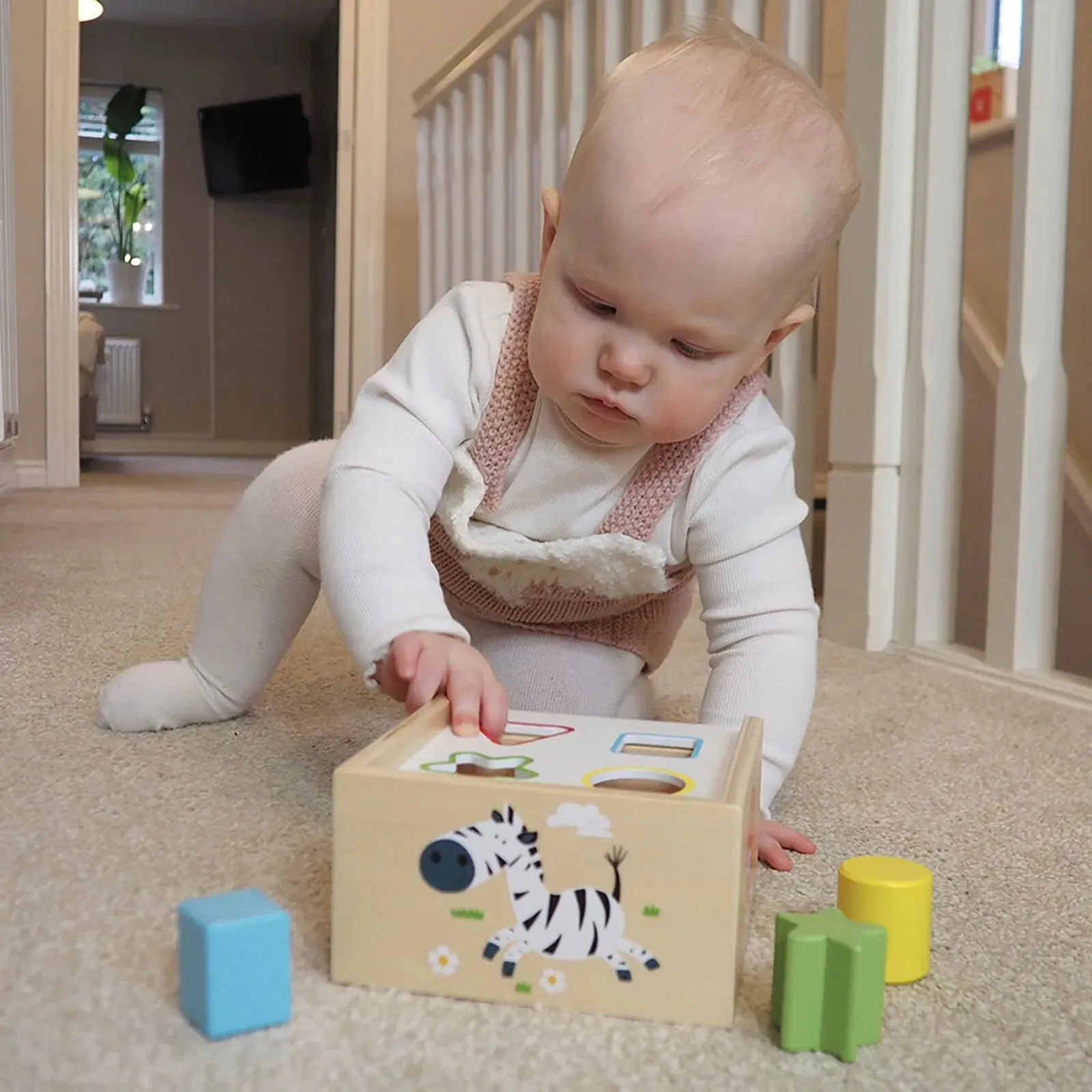Jumini Shape Sorter Box