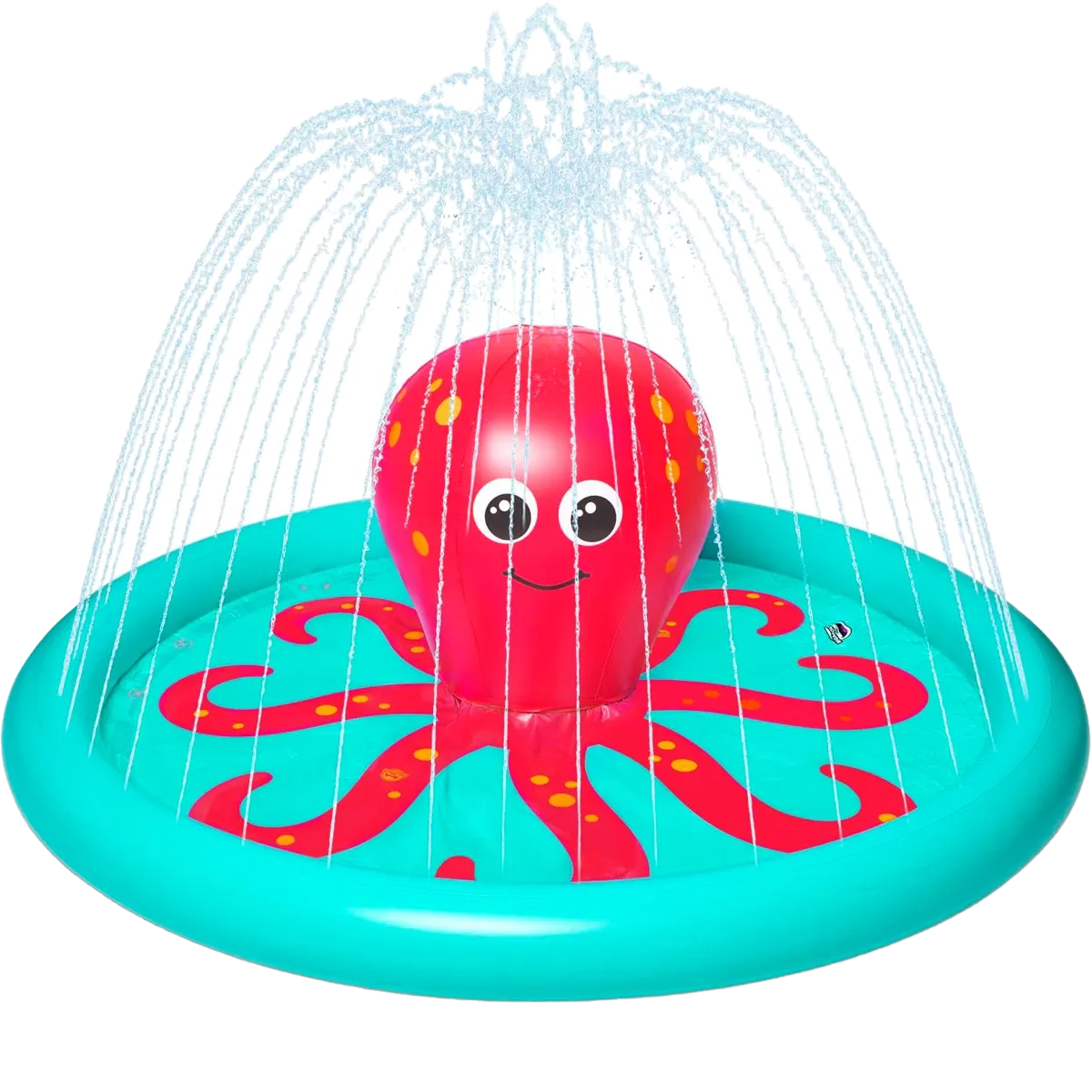 Octopus Splash Pad