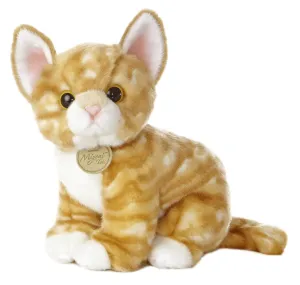Orange Tabby Kitten