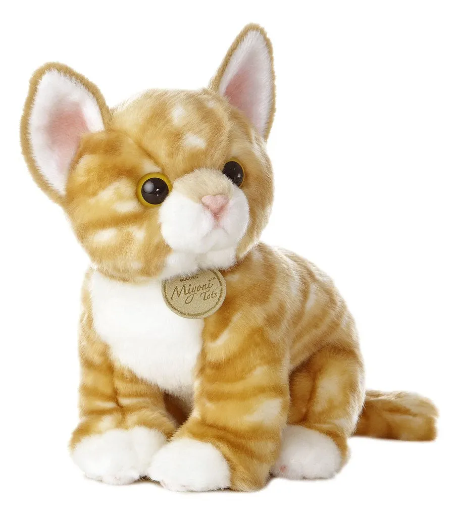 Orange Tabby Kitten
