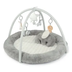 Playmat & Gym - Welcome to the World