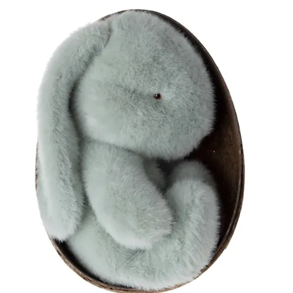 Plush Bunny in Egg
