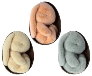 Plush Bunny in Egg