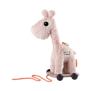 Pull Along & Soft Toy - Raffi Powder