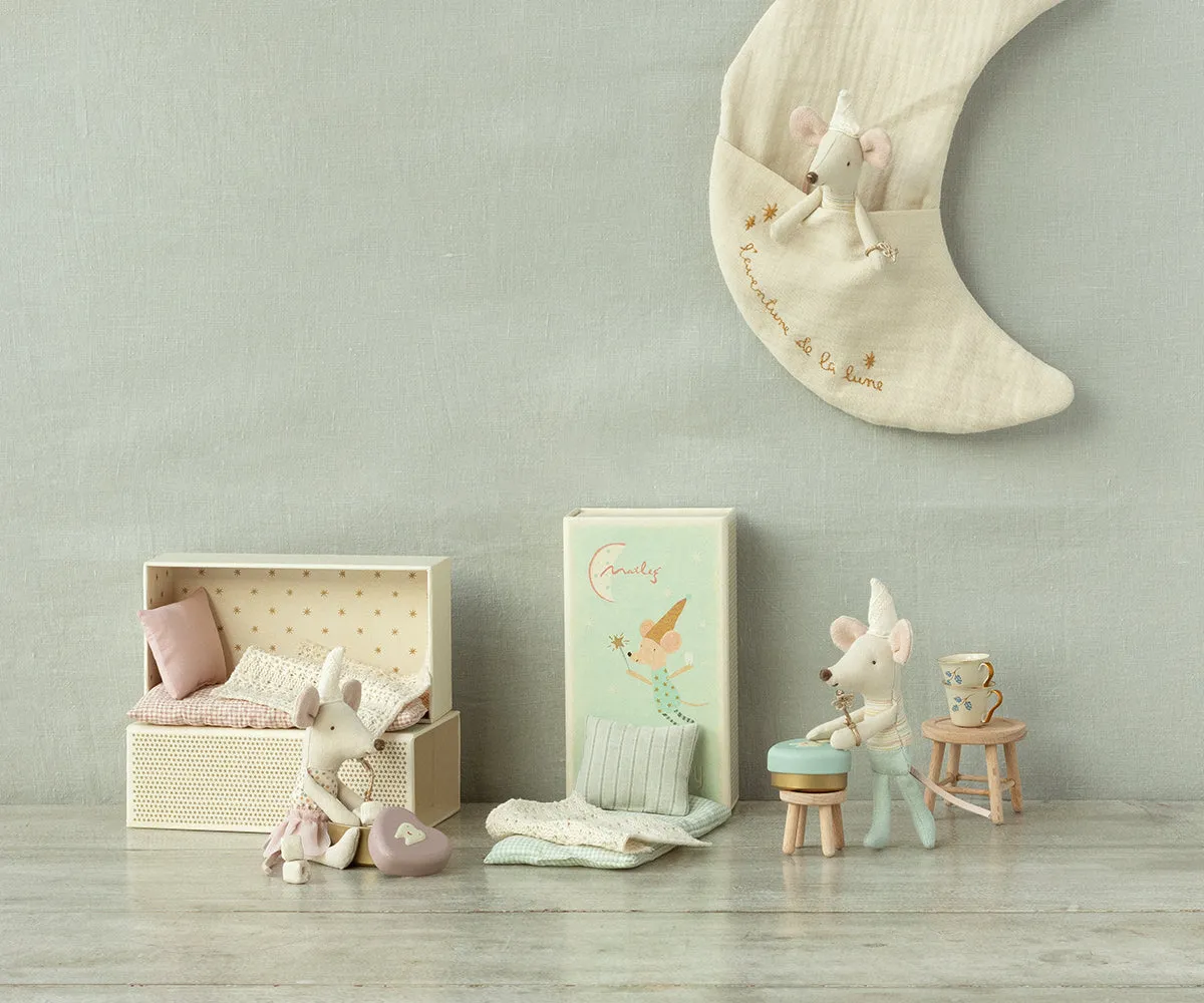 Tooth Fairy Mouse, Little Brother In Matchbox