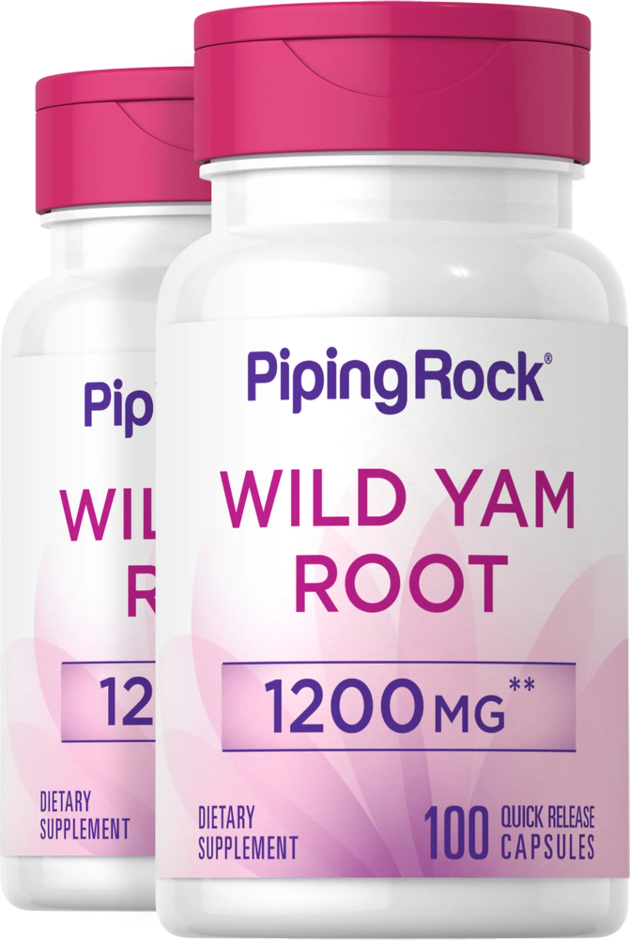 Wild Yam Root, 1200 mg, 100 Quick Release Capsules, 2  Bottles
